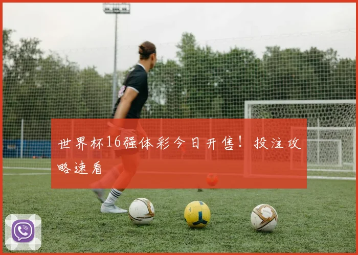 世界杯16强体彩今日开售！投注攻略速看