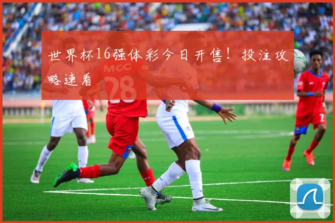 世界杯16强体彩今日开售！投注攻略速看