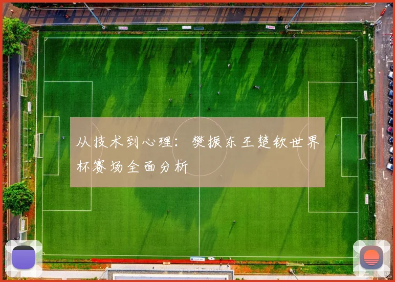 从技术到心理：樊振东王楚钦世界杯赛场全面分析
