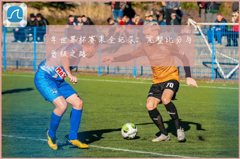 年世界杯赛果全记录：完整比分与晋级之路